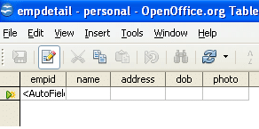 'empdetail' table with no records