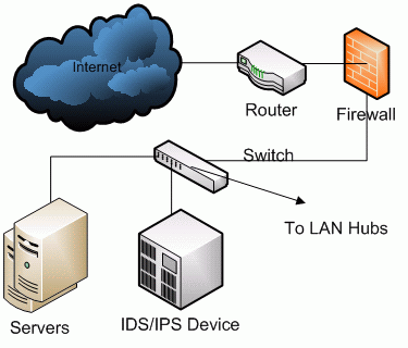 Installing IDS device in a typical network