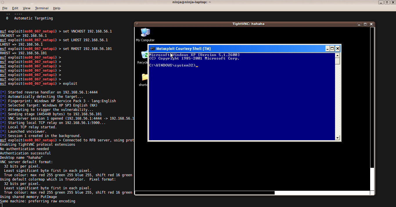 VNCInjection with courtesy shell enabled, by default