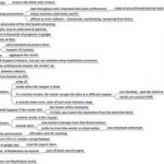 MapReduce
