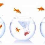 Goodbye, and thanks for all the fish!
