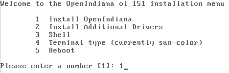 OpenIndiana has a pretty simple installer