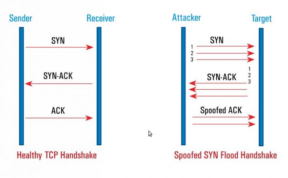 A healthy TCP handshake