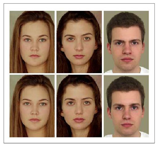 Source image for face detection
