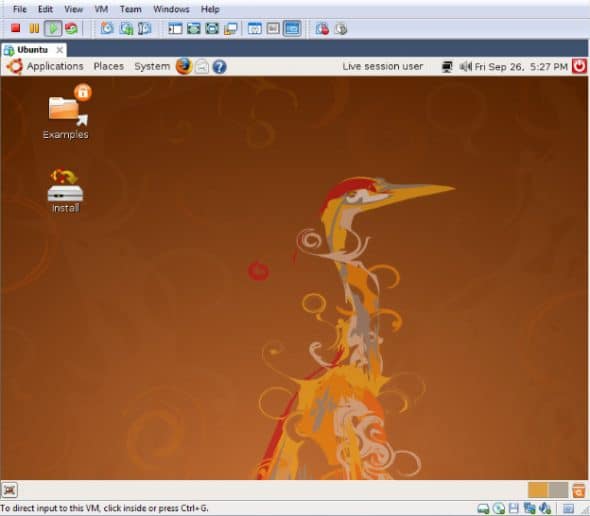 VMware Player running Ubuntu as guest OS