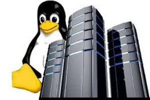 How can I set up VPS on Linux?