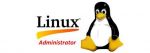Linux Administration: A Smart Career Choice