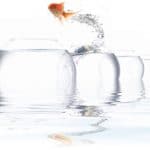 Configure Glassfish on a Clustered Environment