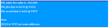 Fig 9_ Expected output of the code bit_order.c when run in big-endian architecture.