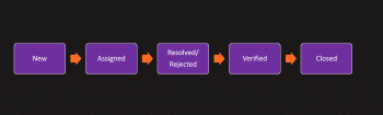 Fig3_defect_life_cycle