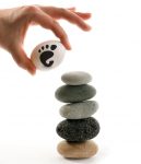 How to Contribute to GNOME