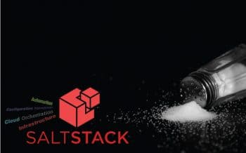 Salt stack visual