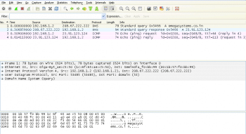 Screenshot2 - DNS Query and ICMP Echo Request