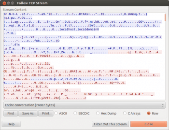 Screenshot2 Follow TCP Stream
