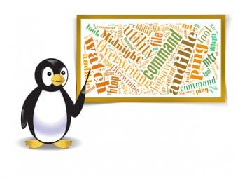 Teach Penguin