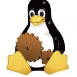 An Introduction to Device Drivers in the Linux Kernel
