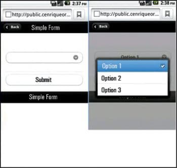 Figure 2 A simple form with the Select’ option and ‘Submit’ button