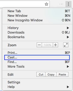 Google Chrome Cast option