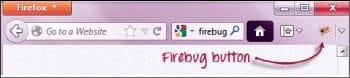 Figure 3: Firebug icon