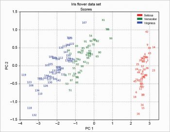 Figure 12 Scores SVD