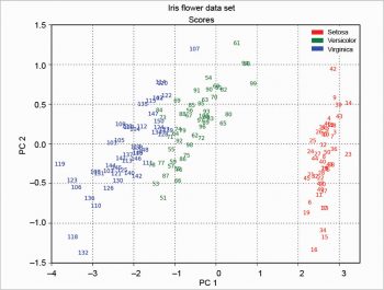 Figure 13 Scores MDP