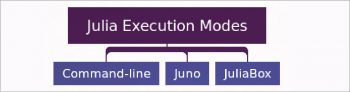 Figure 2 Julia execution modes 