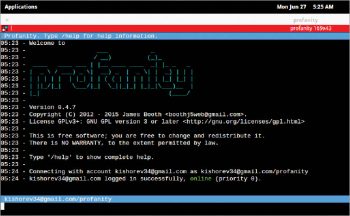 Figure 2 Profanity connected screen