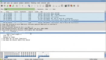 Figure 5 Protocol debugging with Wireshark