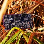 Picking up the best embedded development board Raspberry Shake