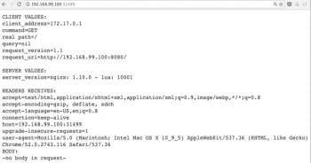 Figure 2 Echo server