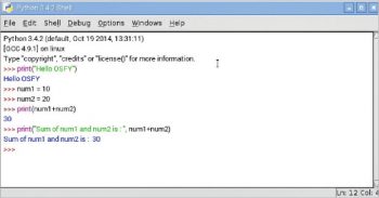 Figure 3 Python shell