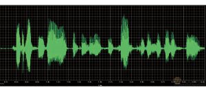 Audacity: Yet another tool for speech signal analysis