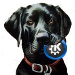 Black Lab Linux goes commercial Black Lab Linux