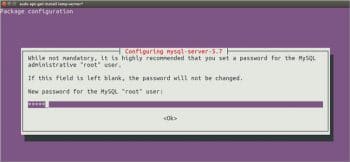 Figure 2 MySQL root password