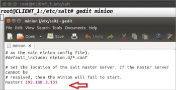 Figure 3 Salt Minion configuration