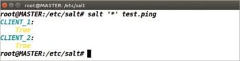 Figure 5 Salt Master-Salt Minions ping test