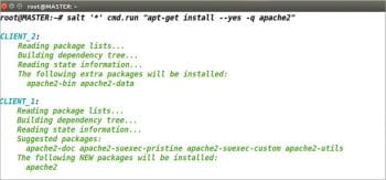 Figure 6 Installing Apache2 in all the Minions