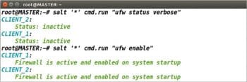 Figure 7 Indicating how we can check the firewall status and enabling it in all the Minions