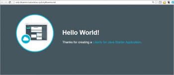 Figure 9 The IBM Bluemix Java App