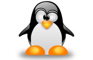 Linux 4.11 gets delayed by a week due to NVMe glitches and oops fixes