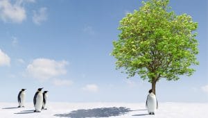 Discovering the versatility of user mode Linux