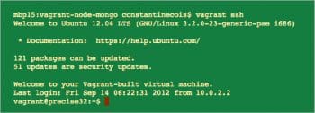 Figure 1 Vagrant output
