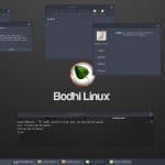Bodhi Linux