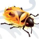 How to use Firebug with Selenium testing Selenium testing using Firebug
