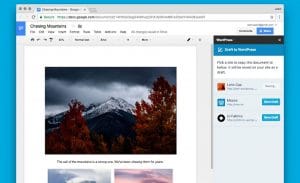 Google Docs add-on for WordPress sites
