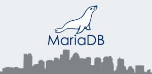 Get the Best Out of MariaDB with Performance Tuning