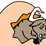 Copy an Entire GNU/Linux Installation and Make it Work GNU Compiler Collection