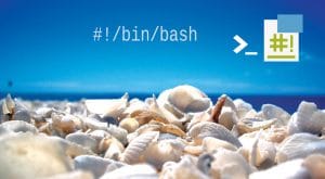 How to begin programming with shell scripts
