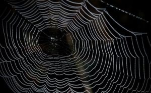 SoftBank open source network operations system based on OpenDaylight