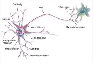Deep (machine) learning: Everything you need to know about it